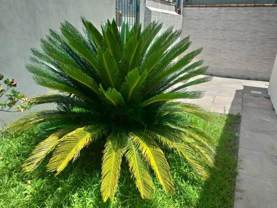 Casa Agradavel Em Camboriu Com Estacionamento No Patio Villa Exterior photo